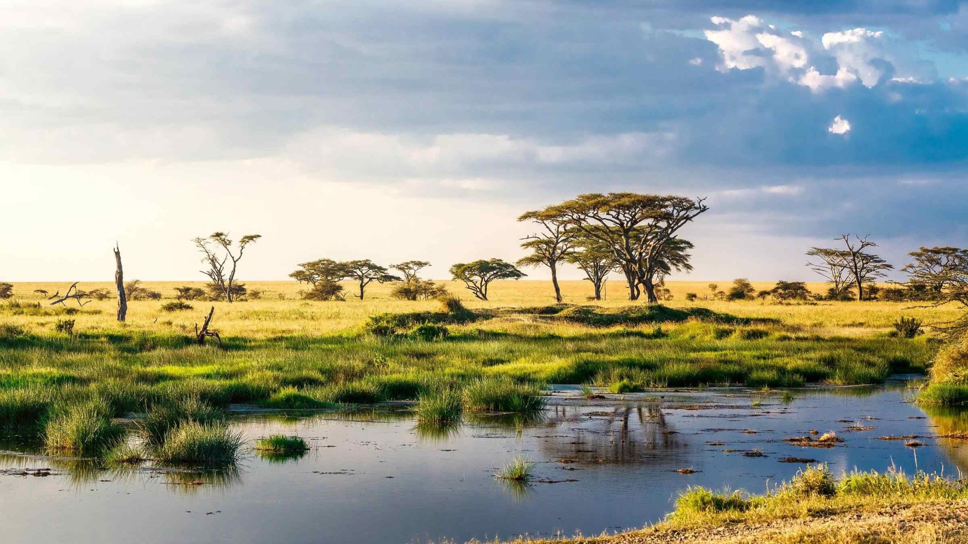 Faces of Africa: An Epic Journey Tour