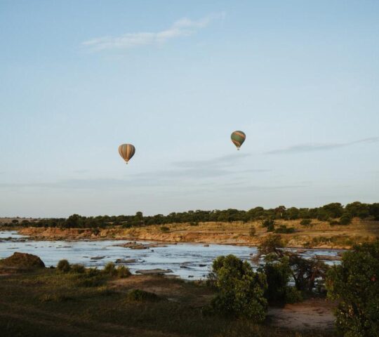 Hot air balloons soar over the plains of the Serengeti Natonal Park