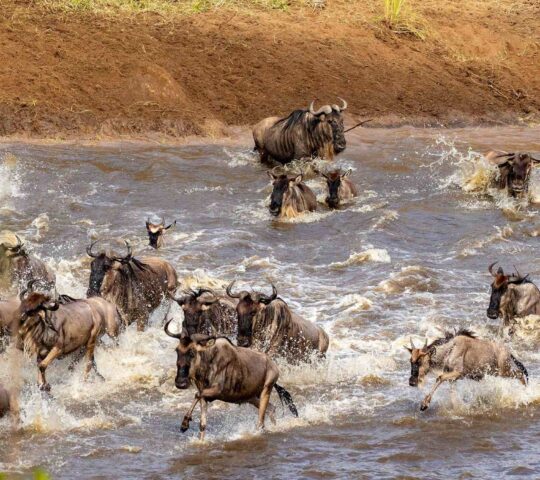 See river crossings