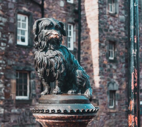 Greyfriars Bobby, Edinburghs favourite dog