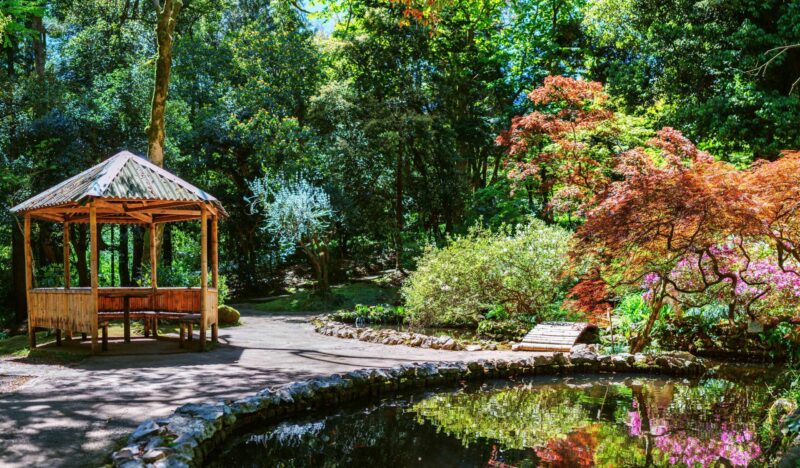 Panoramic view of Japanese garden with lake in botanical garden Georgia Batumi on bright spring day, bonsai tree reflection