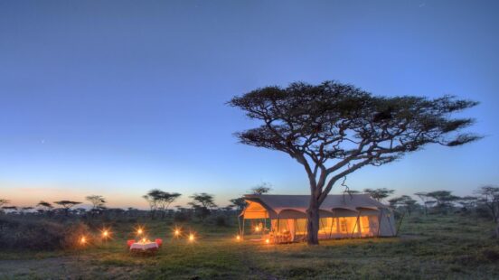 Beyond Serengeti Under Canvas