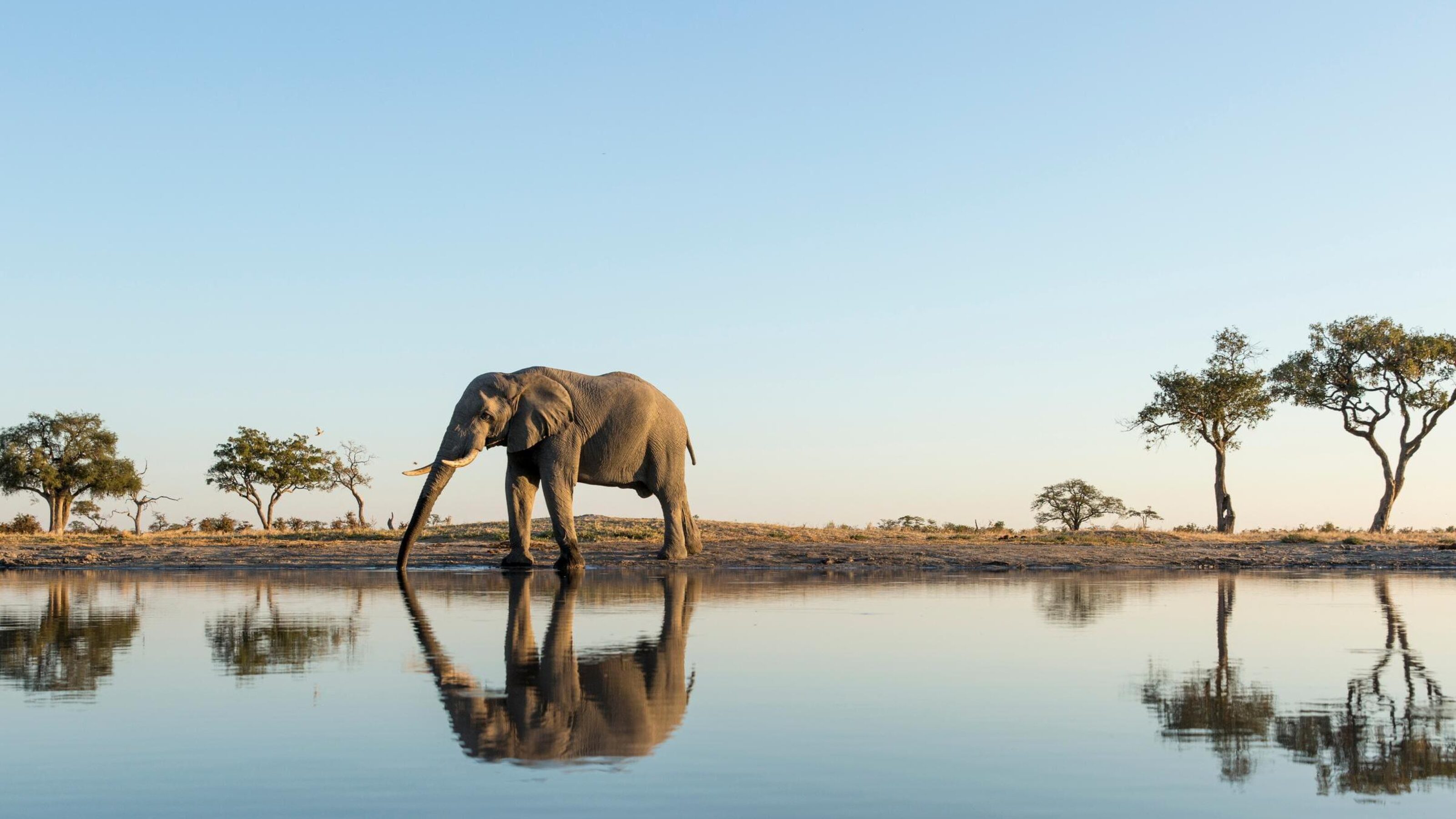 The Ultimate Southern Africa Safari