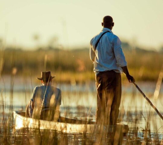 Explore the waterways by mokoro