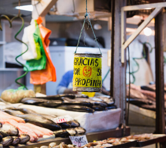 Santiago fish market