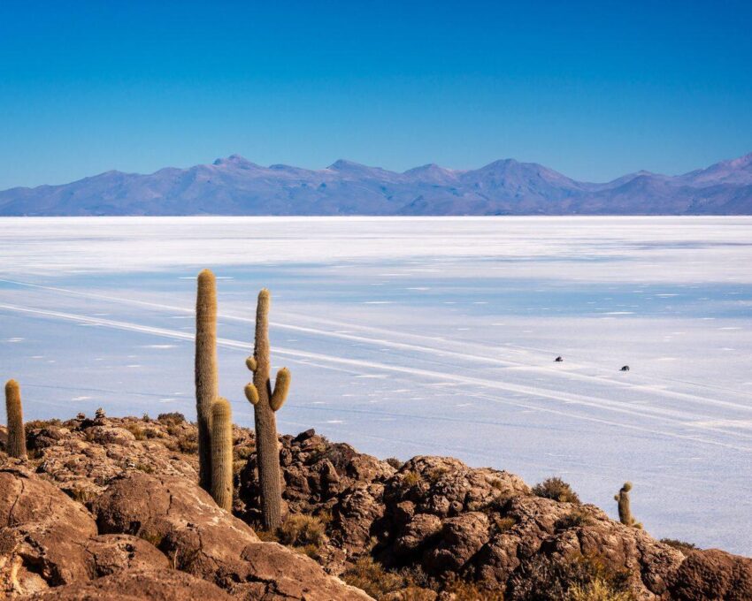 The highlights of the Salt Flats