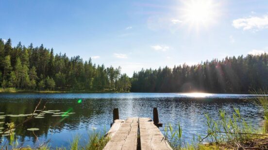 View from a wooden pier looking out over a calm lake toward a dense green forest under a bright sun.