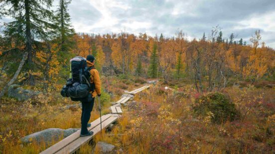 A person with a hiking pack walks on a wooden path through a forest of gold and orange trees.