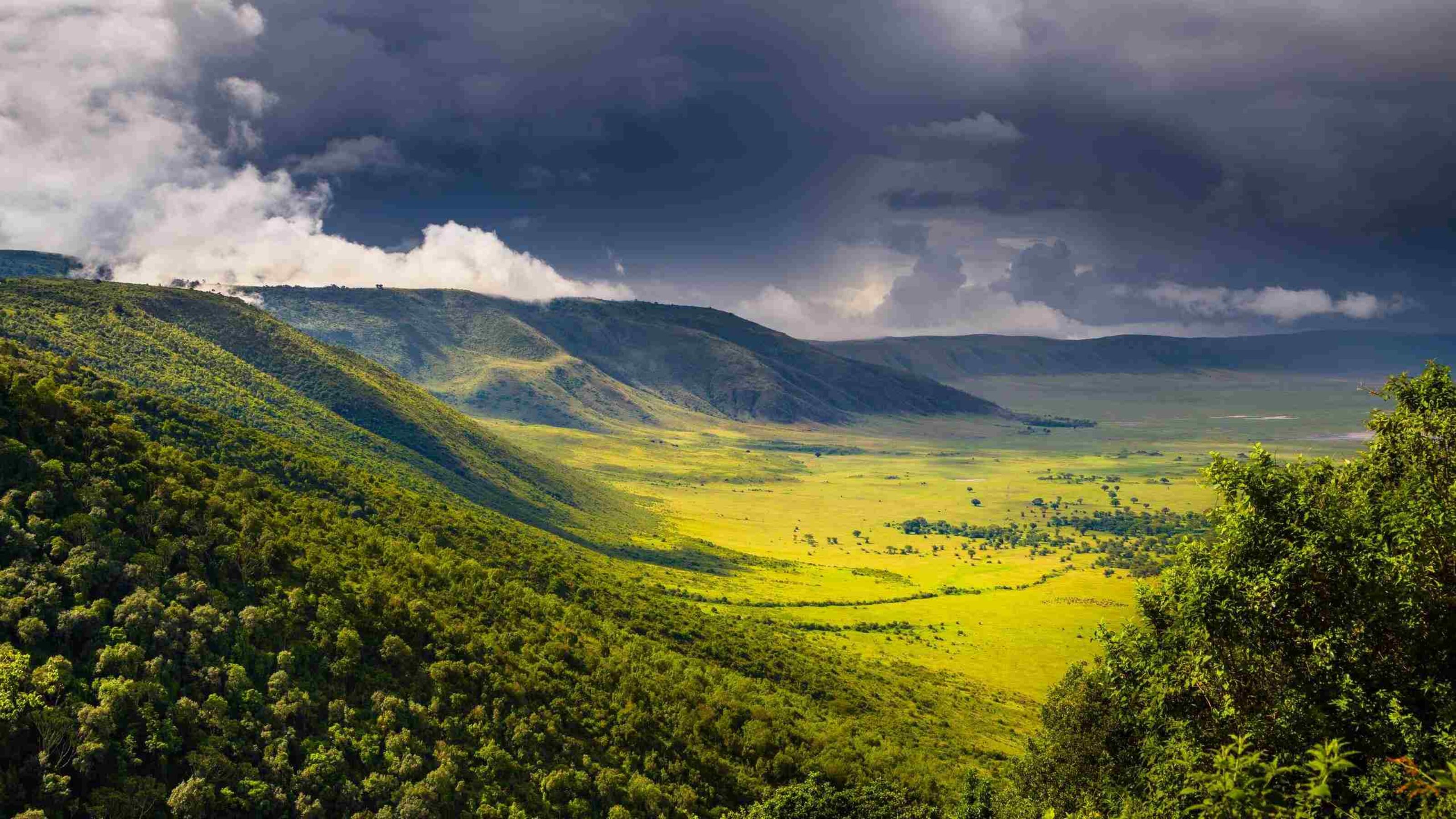 Clouds rolling in over the verdant hills of the Ngorongoro Crater, Tanzania.