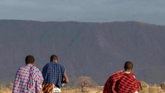 A small group of Maasai warriors in traditional dress walking through the savannah of the Maasai mara, Kenya.