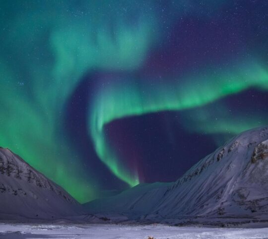 The aurora lights over Svalbard