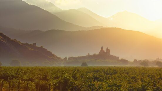 A field of green crops under a golden sunset with misty mountain silhouettes in the distance.