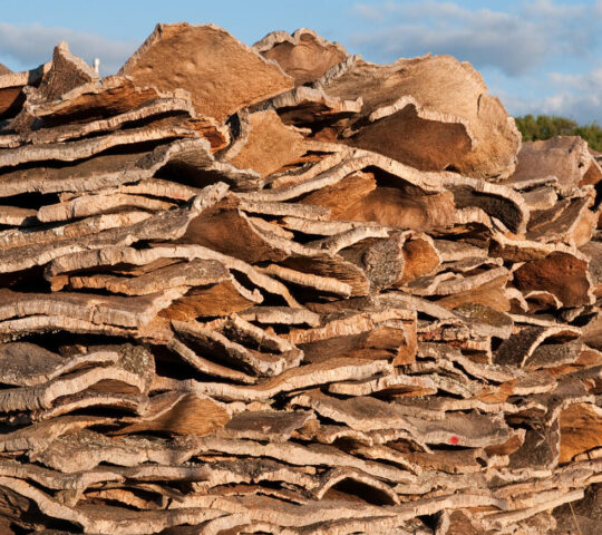 Cork manufacturing