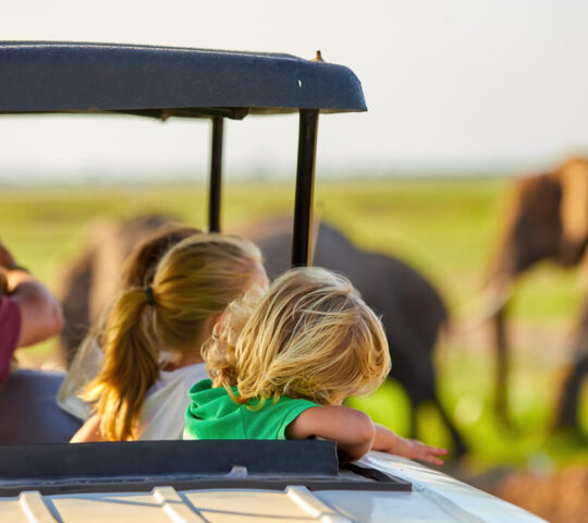 Setting off on a family safari