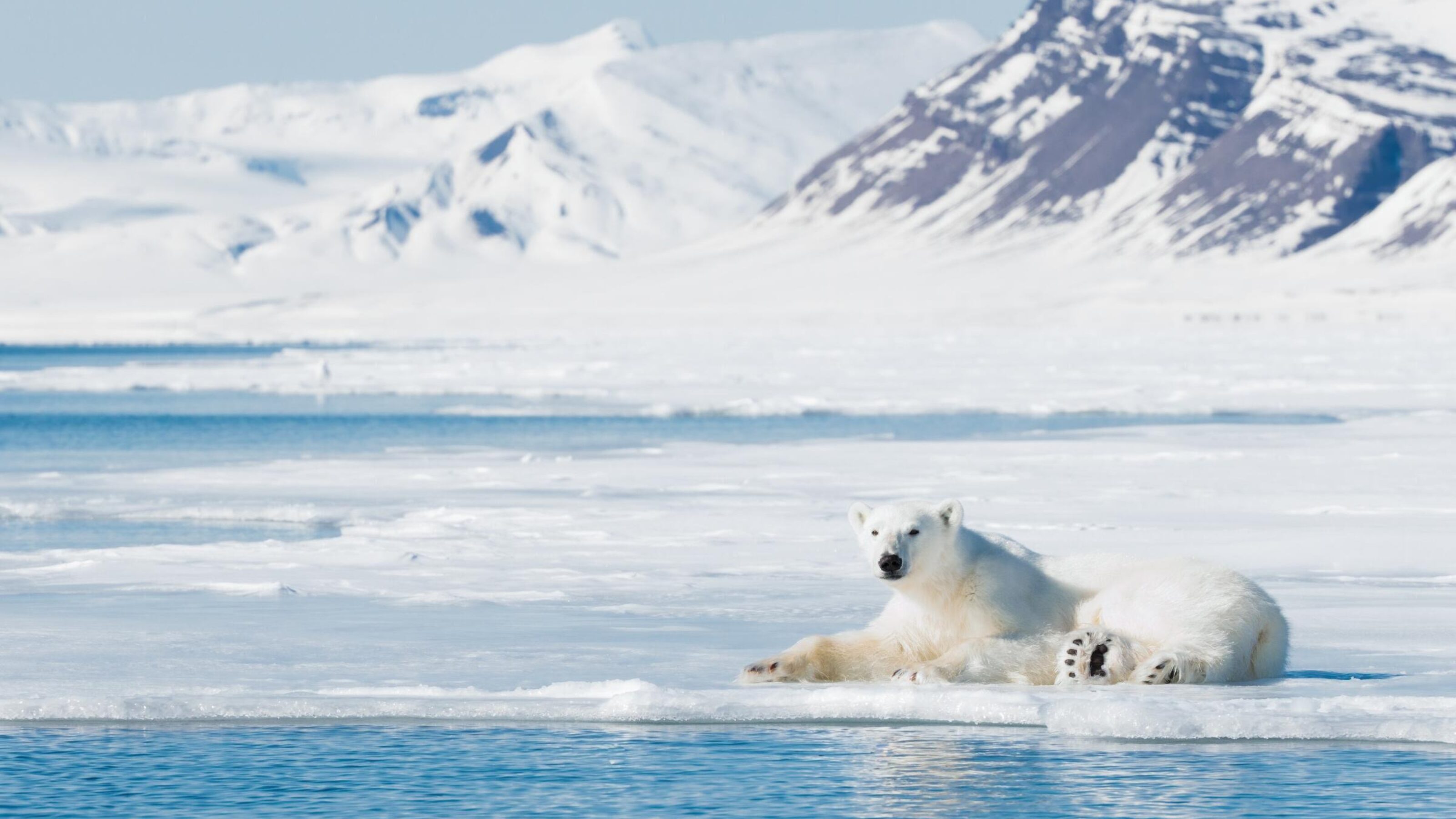 Luxury Adventure to a Winter Wonderland: Norway's Arctic Islands