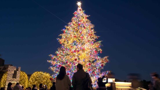 A very tall, brightly lit, and decorated Christmas tree at night, with people standing in the foreground.