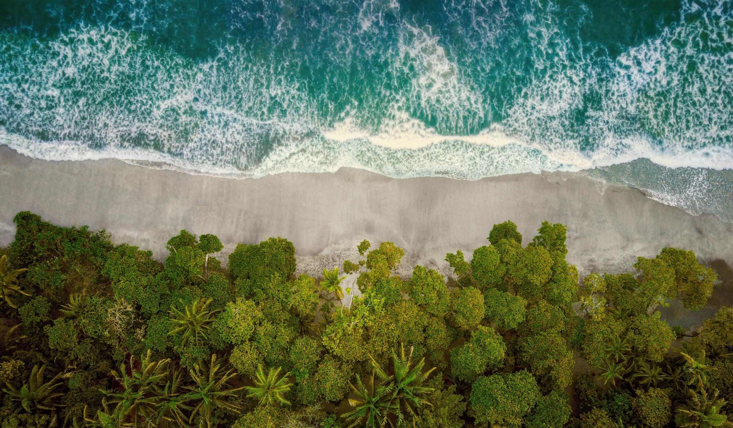 Aerial view of a tropical beach with turquoise water, white surf, and a lush green forest.
