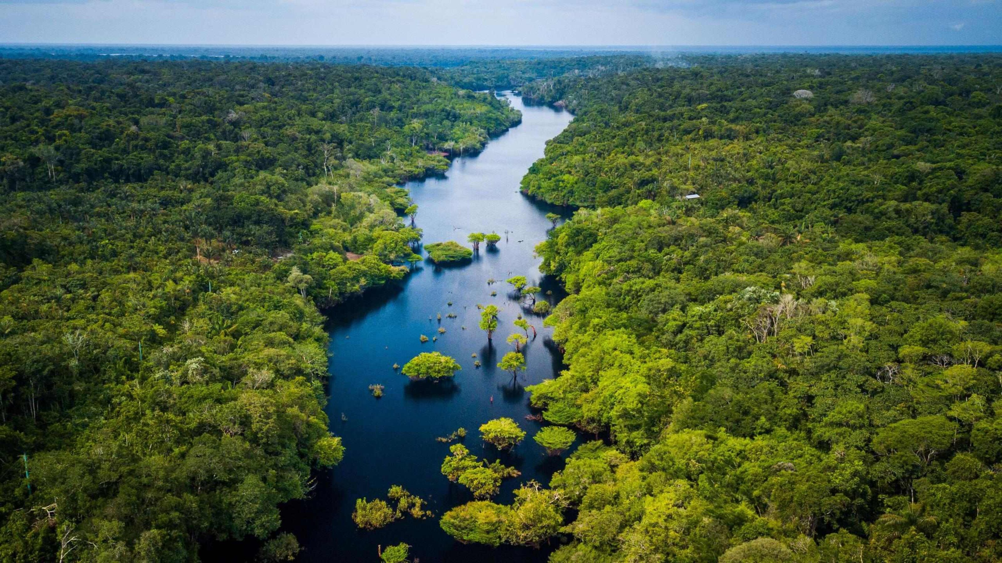 High-angle view of a blue river flowing through a lush tropical rainforest canopy.