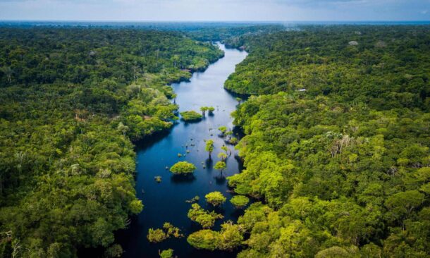 High-angle view of a blue river flowing through a lush tropical rainforest canopy.