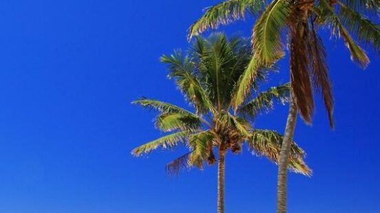 Anakena beach in Easter island