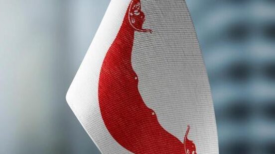 easter island flag