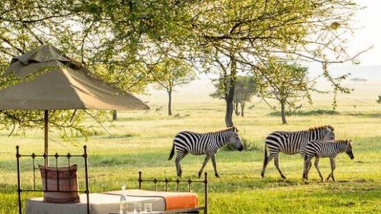 Singita Sabora