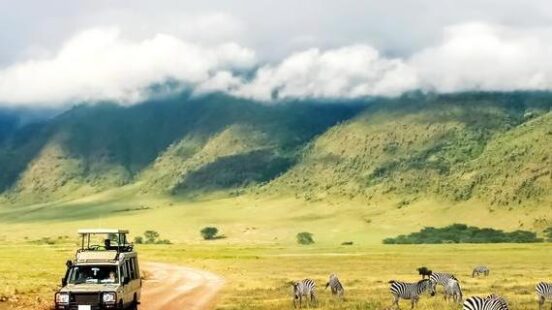 Safari in Ngorongoro Crater National park.