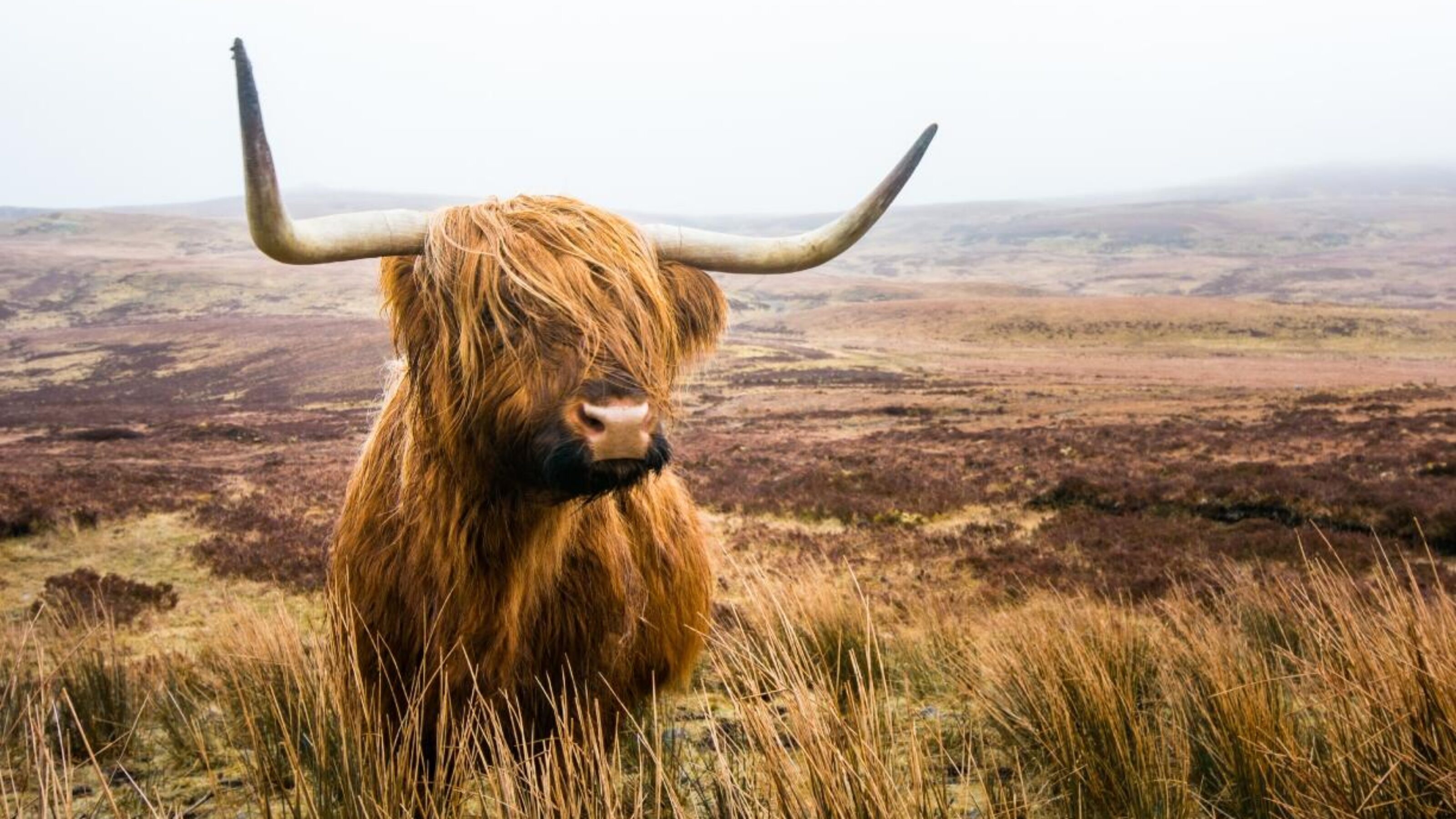 Classic Scotland