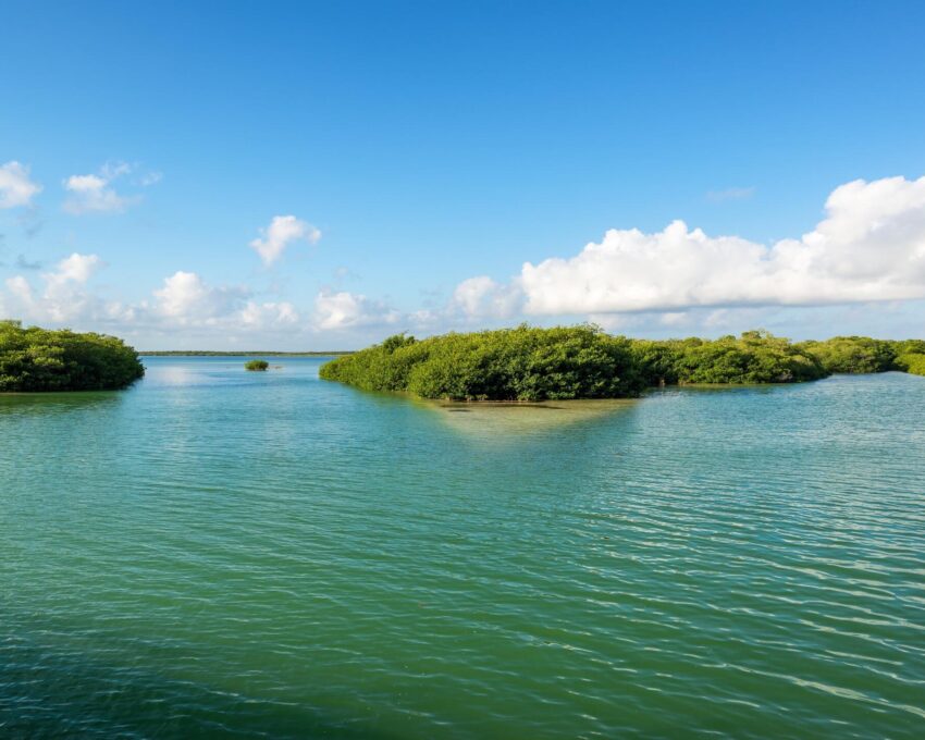 The Sian Kaan Biosphere Reserve