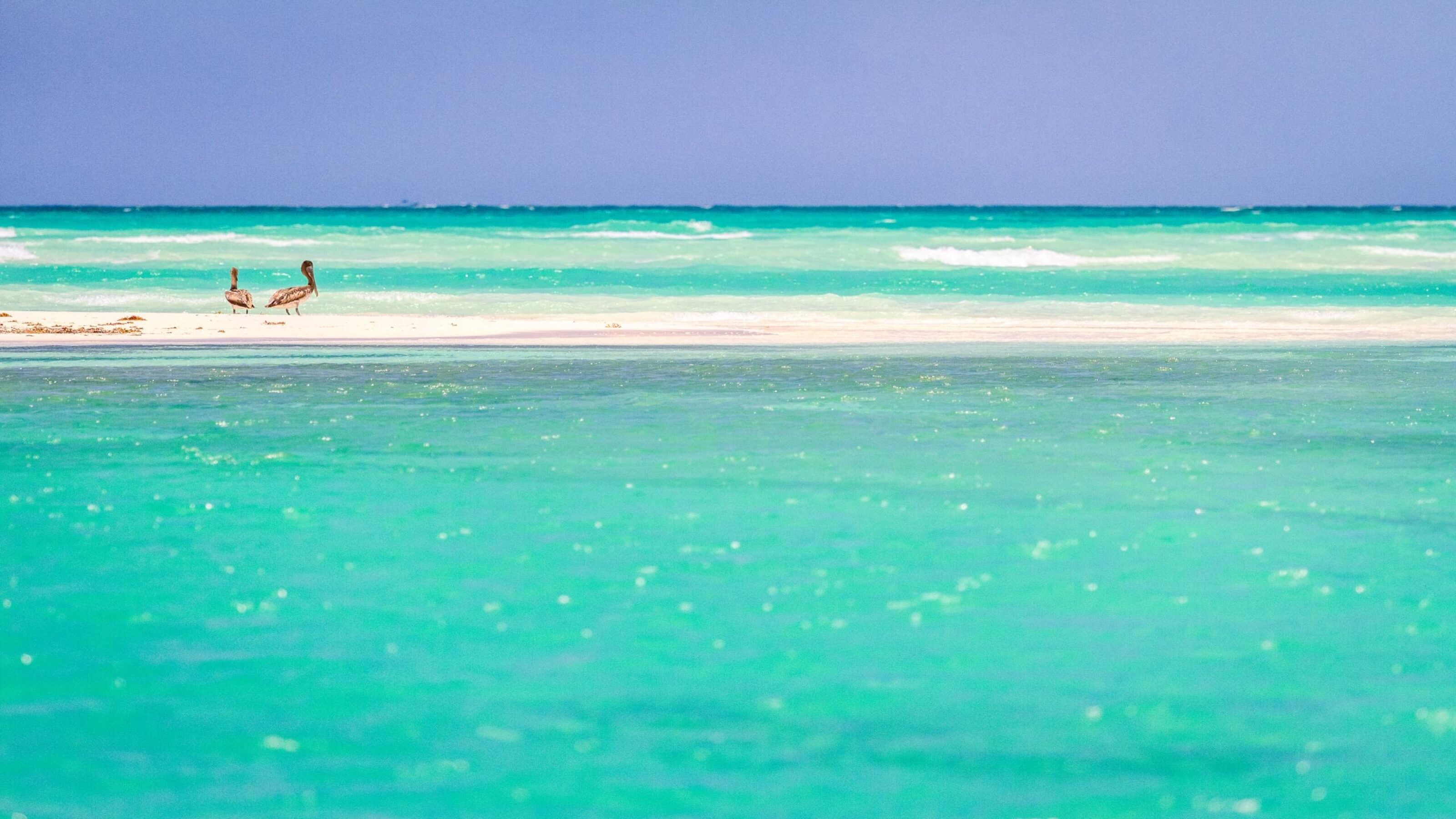 A Complete Family Vacation to Mexico