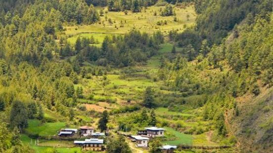 Aerial view of a small rural village nestled on a green hillside surrounded by lush evergreen trees.