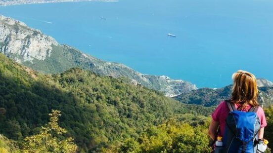 Hiker overlooking a forested coastline and a large blue bay with ships in the distance.