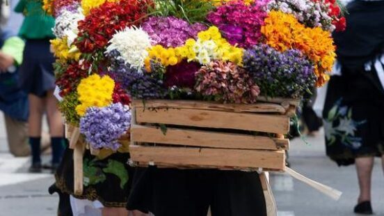 A person from behind carries a large wooden crate filled with vibrant, multi-colored flowers.