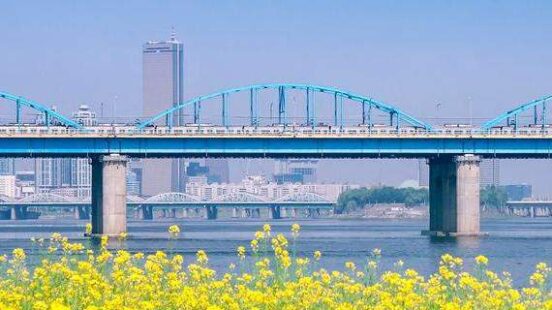 Seoul spring flowers