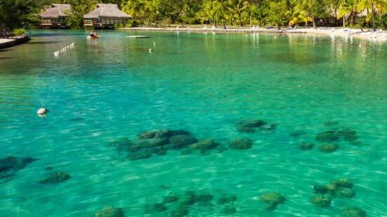 Snorkeling in Bora Bora