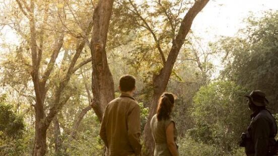 A walking safari in Zimbabwe