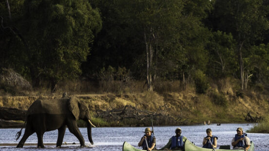 Canoeing at Wilderness Ruckomechi, Mana Pools