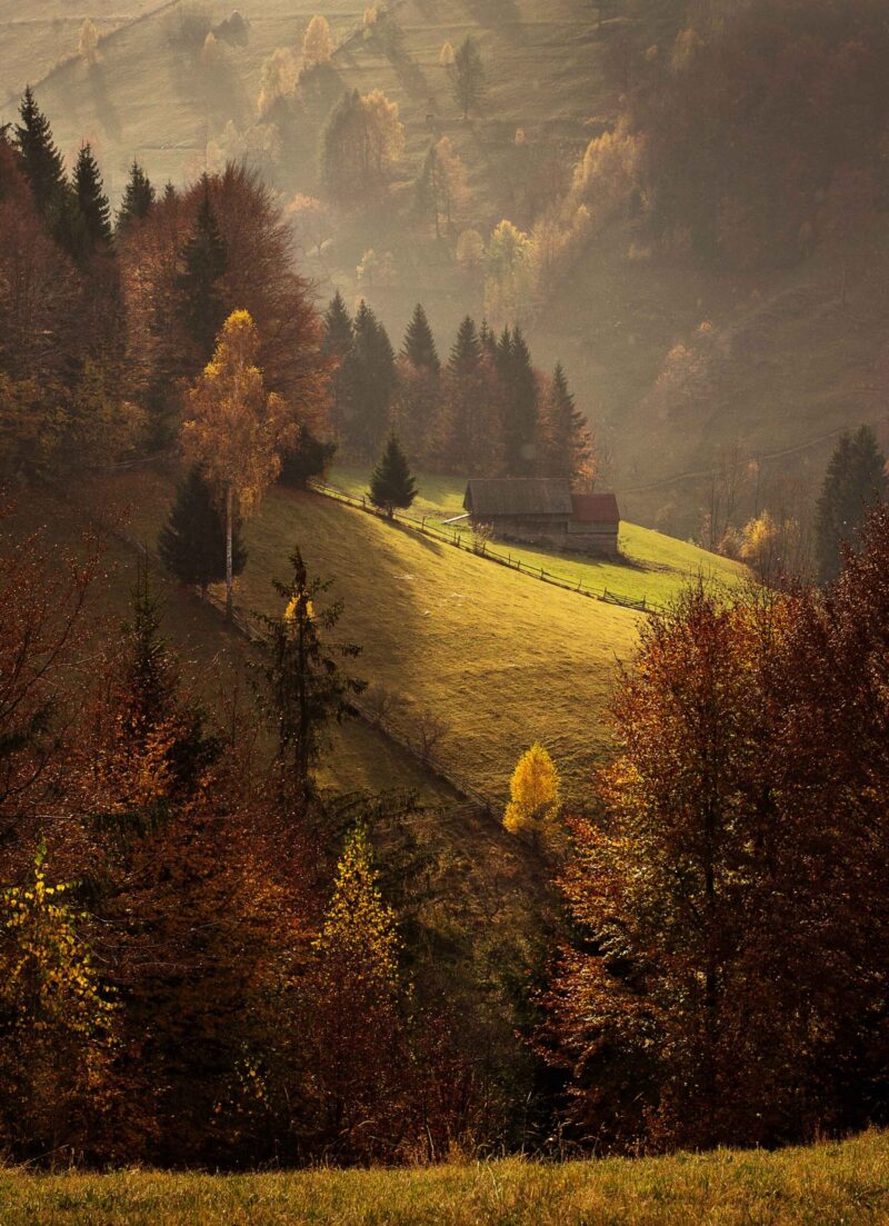 Beautiful landscape in autumn season with amazing colors. Simon, Brasov. Tansylvania – Romania.