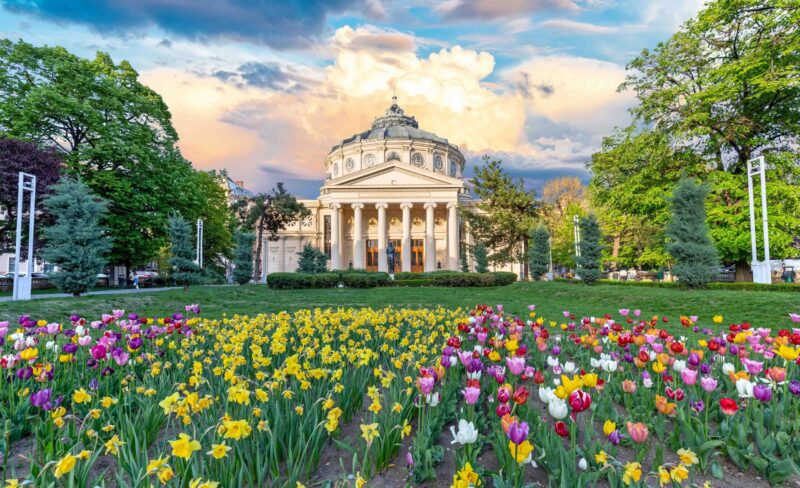 Romanian Atheneum at sunset with red and yellow flowers in front. Bucharest, Romania.