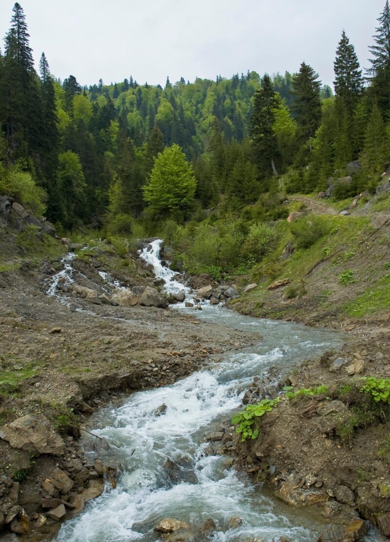View of the Carpathians mountain of northern Romania