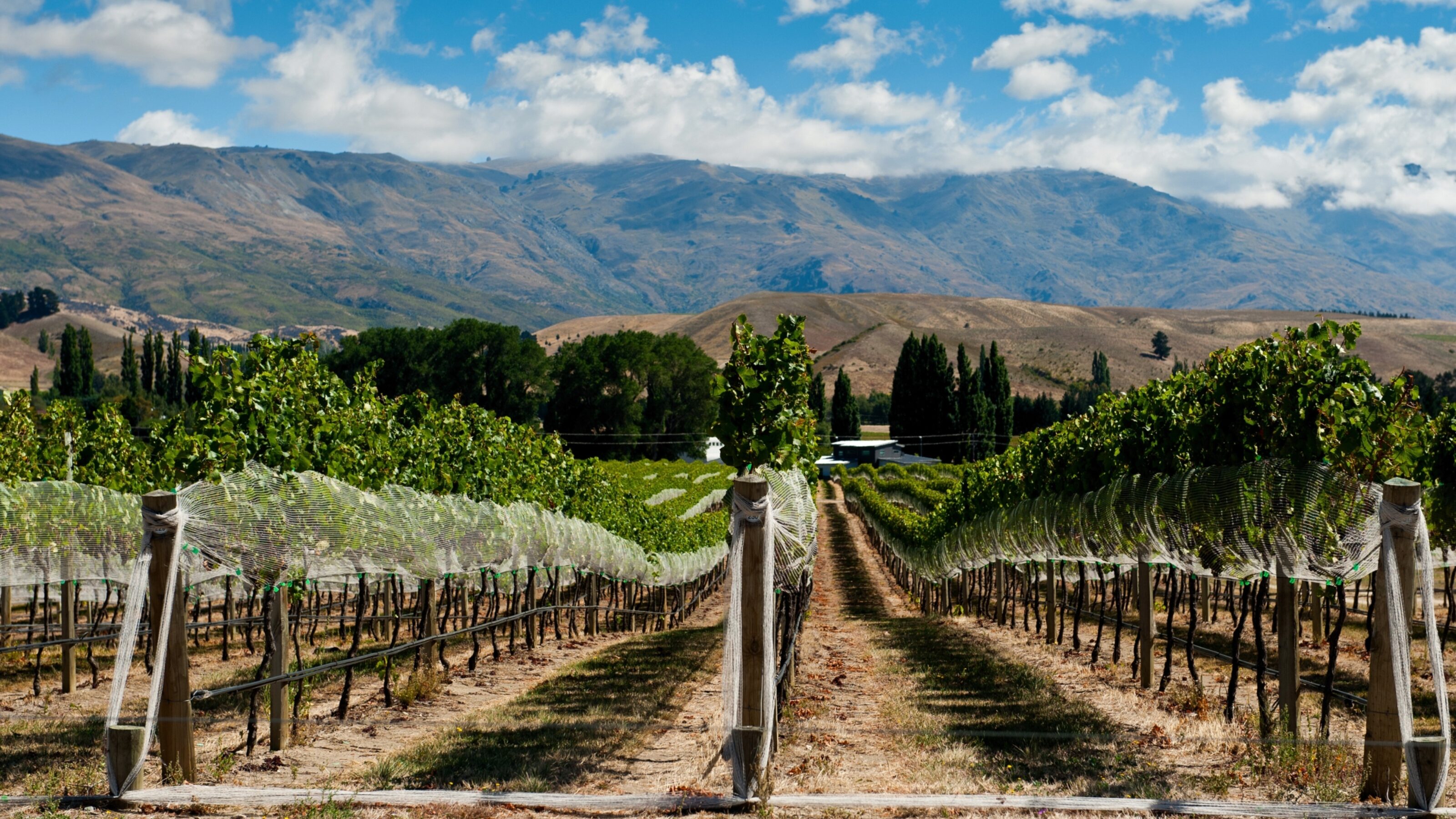 The Best of Australia and New Zealand
