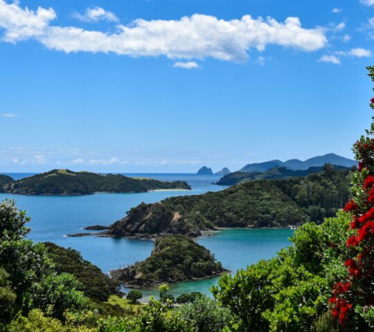 Views across the Bay of Islands