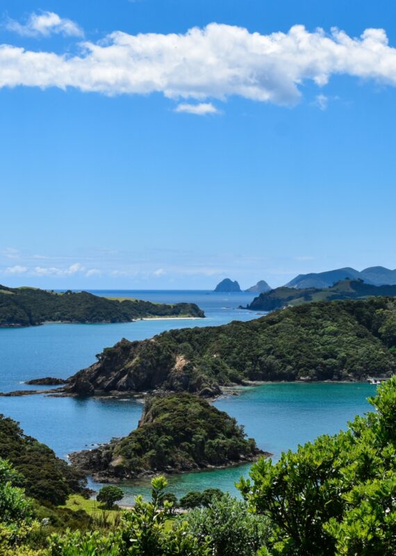 Explore the Bay of Islands with a Māori elder