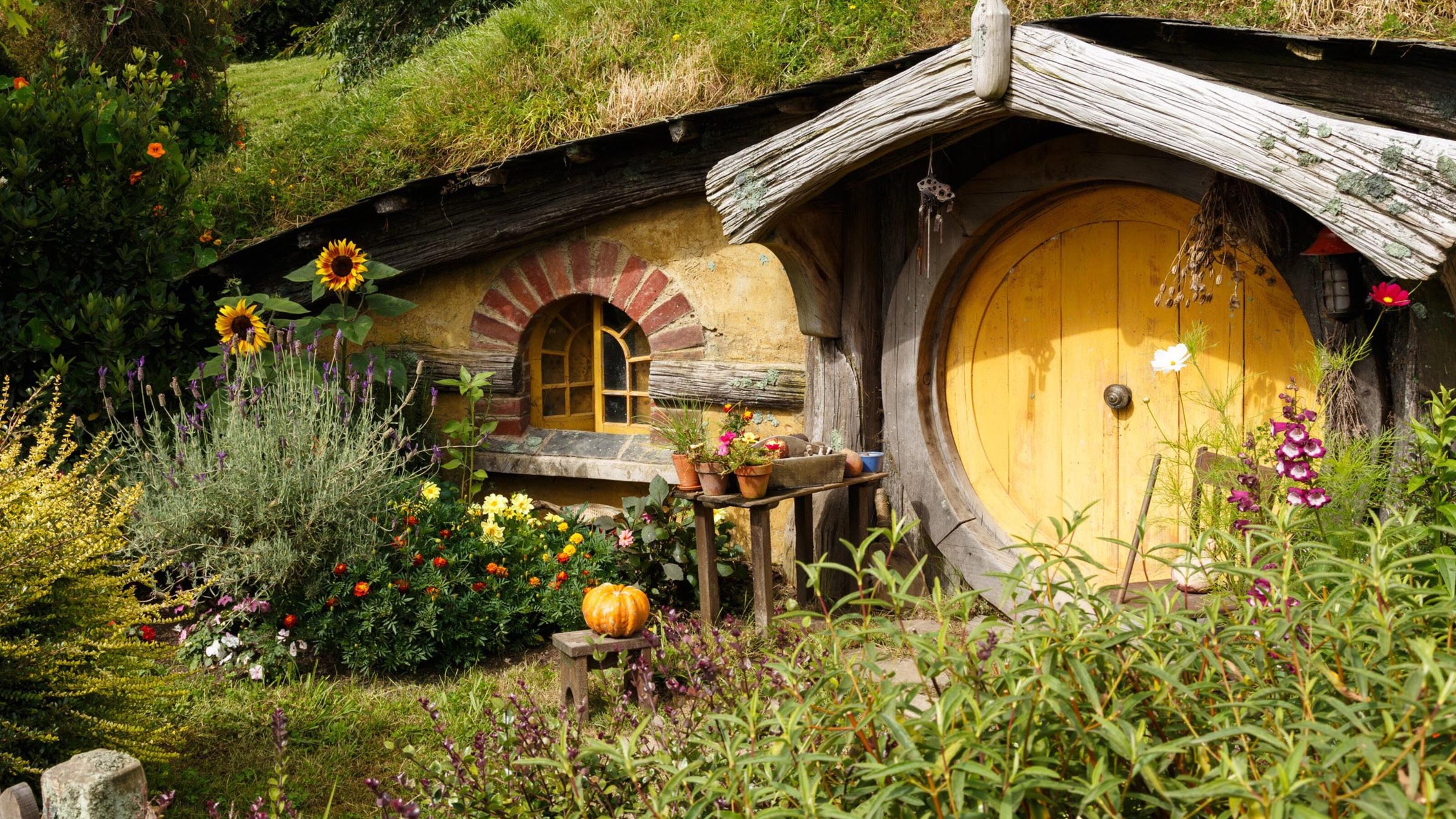 An Epic Family Adventure in New Zealand