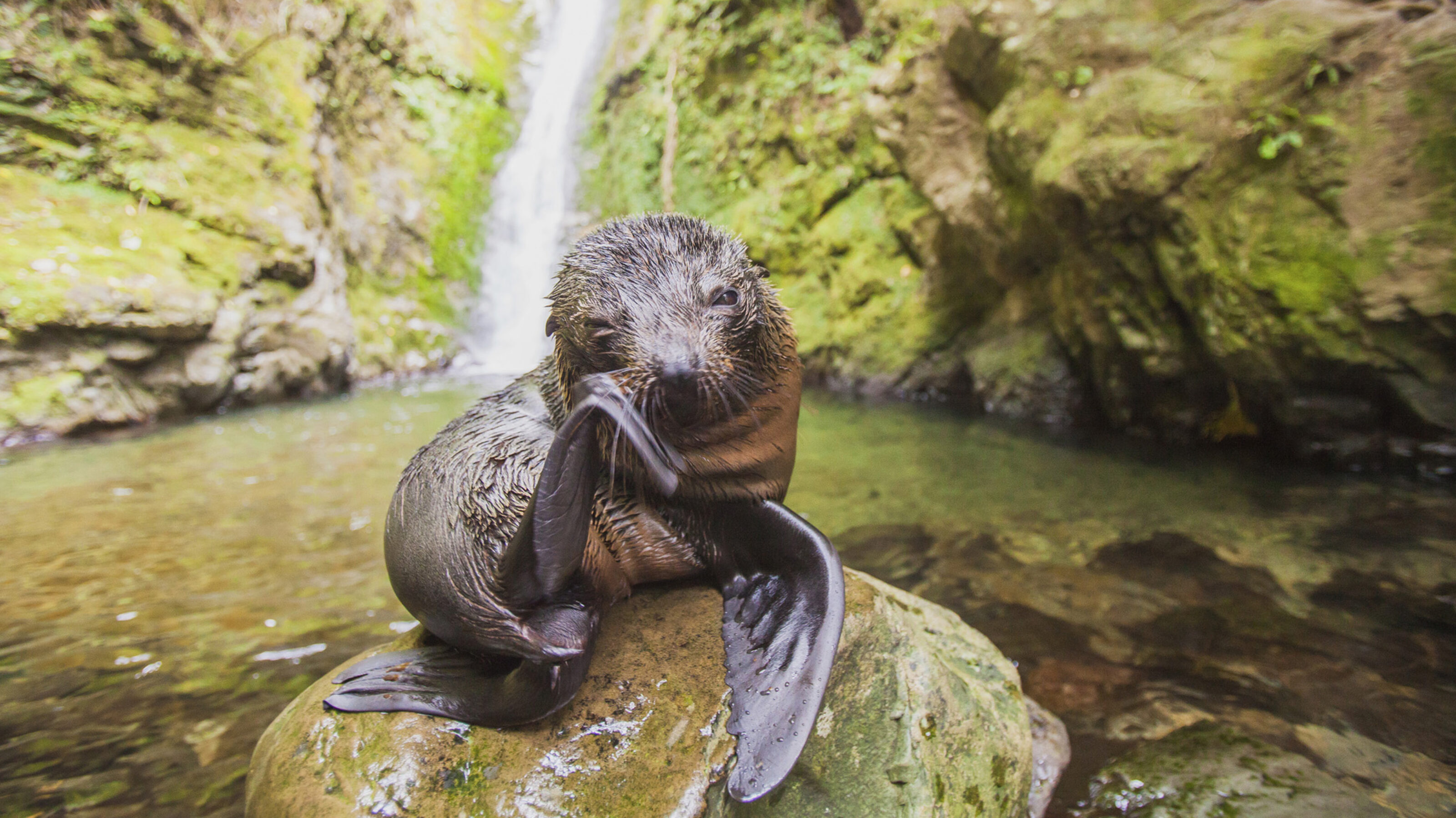 An Epic Family Adventure in New Zealand