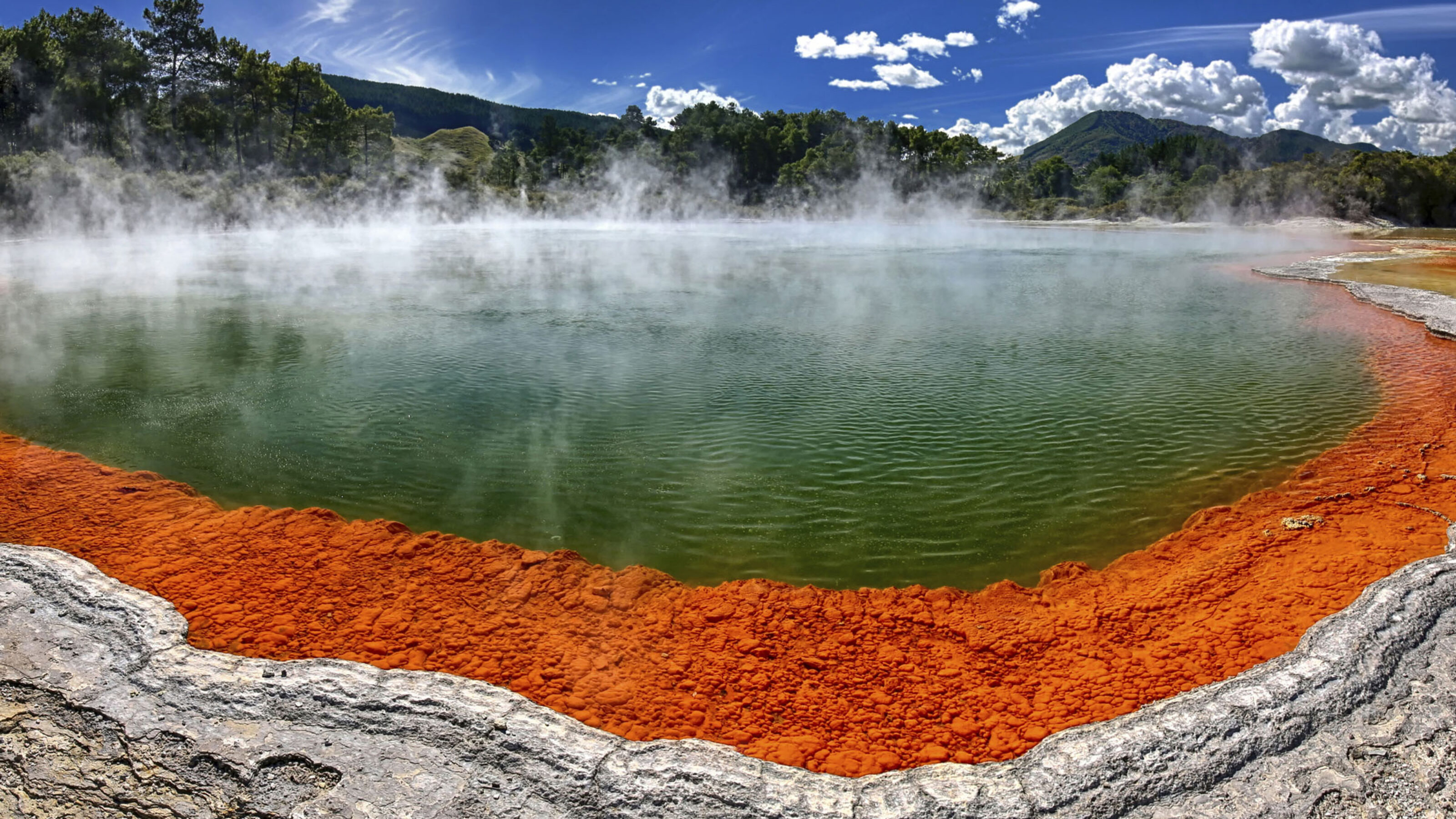 An Epic Family Adventure in New Zealand