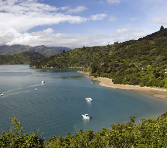 Marlborough Sound