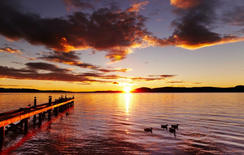 Lake Rotorua at sunrise, North Island, New Zealand