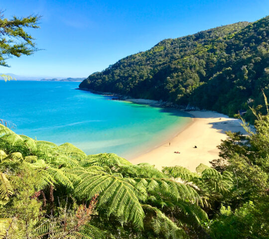 Abel Tasman