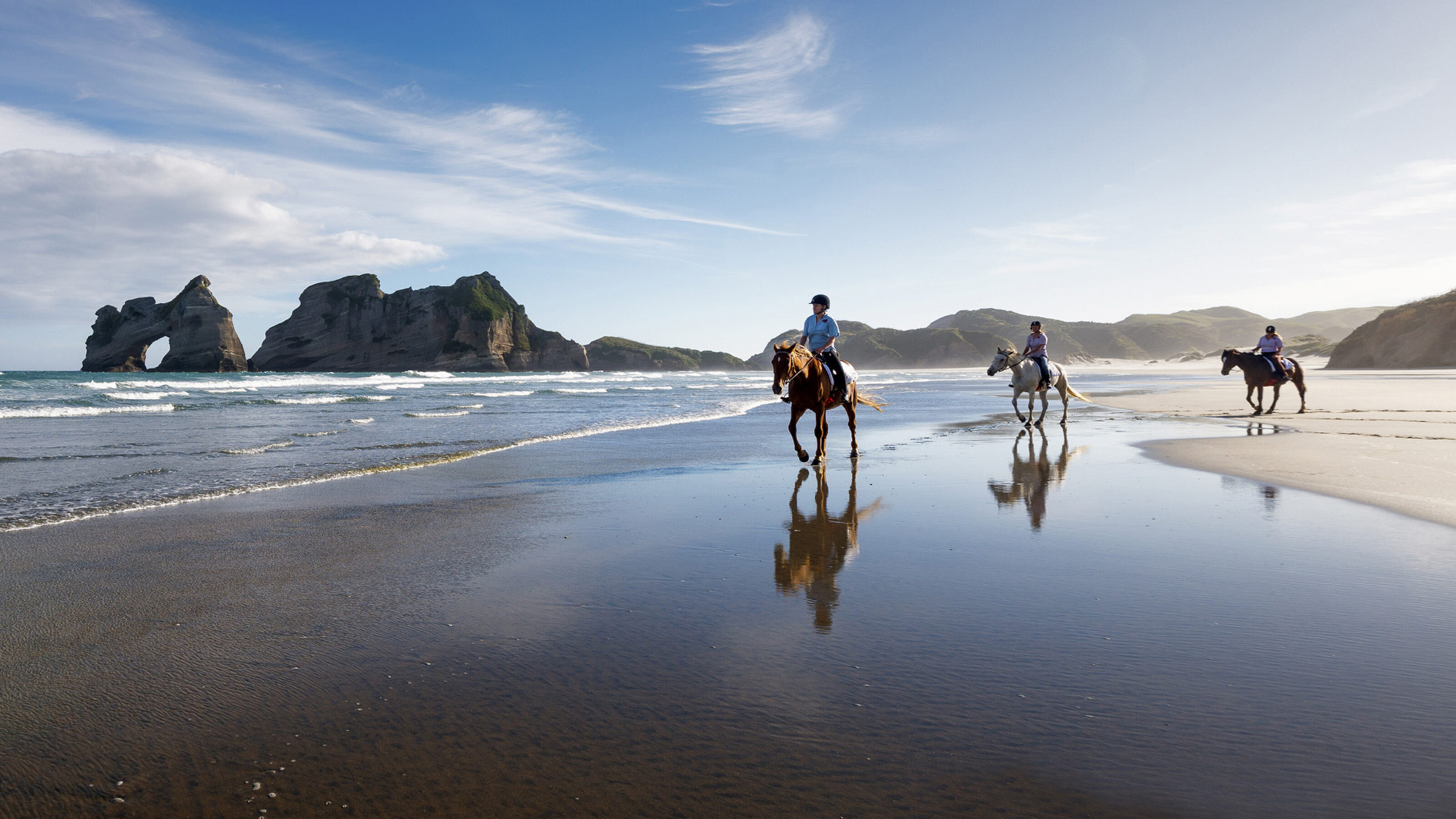 Essential New Zealand